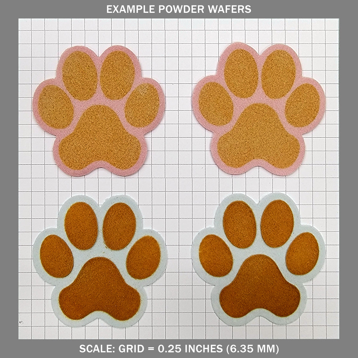 Dog Paw Print