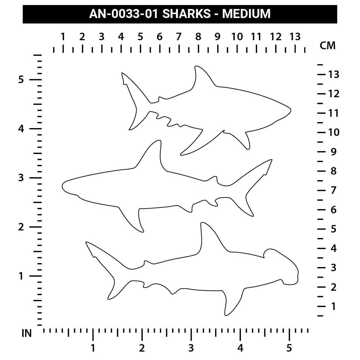 Sharks - Medium