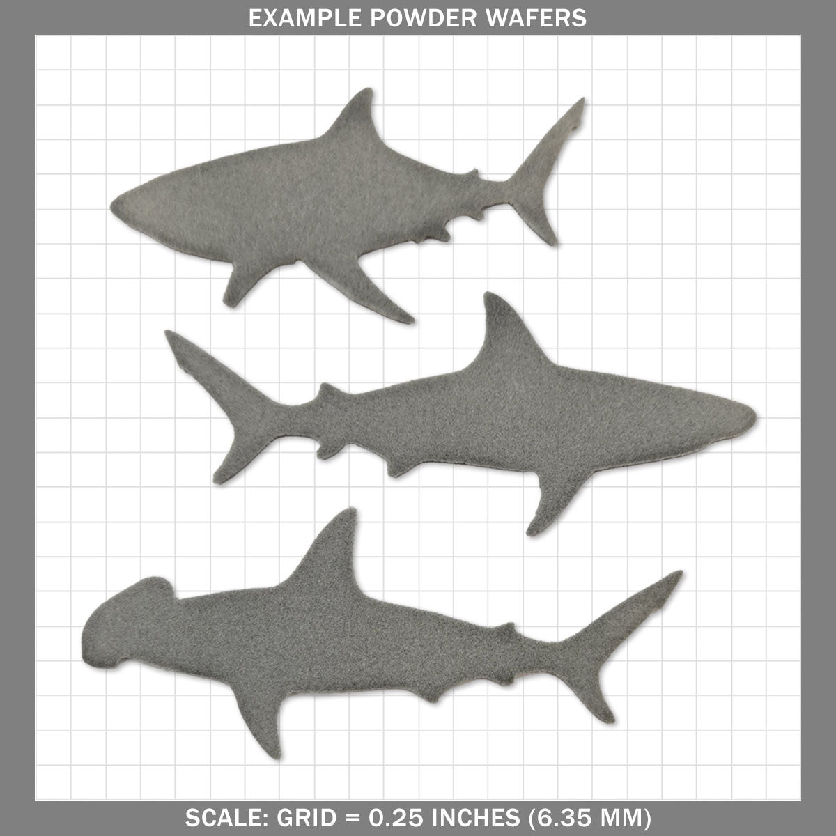 Sharks - Medium