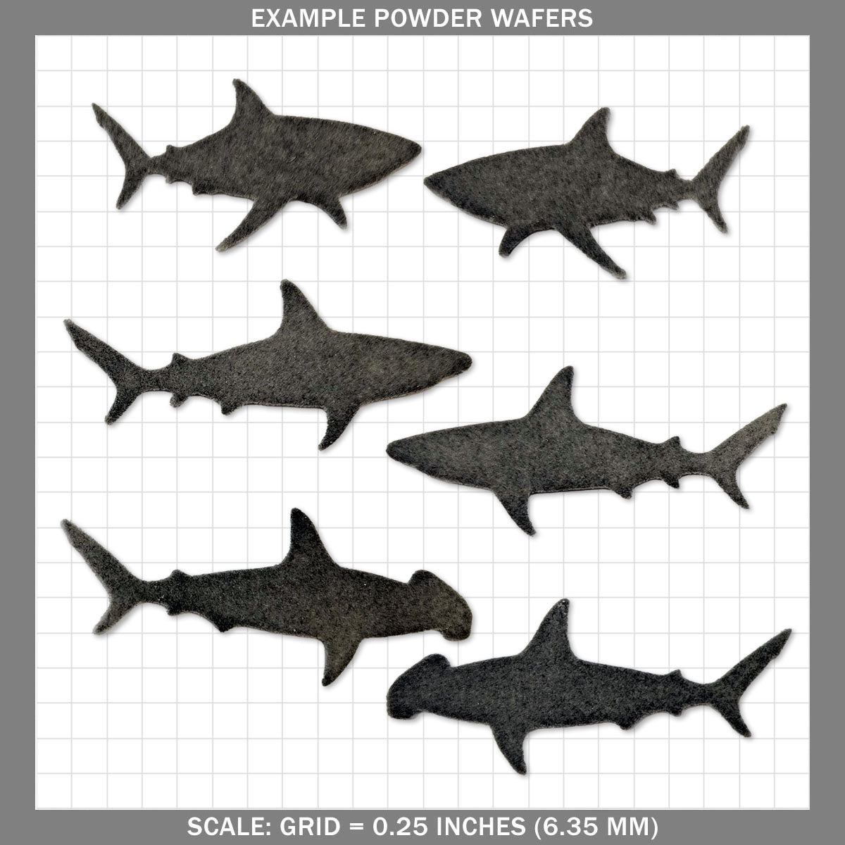 Sharks - Small