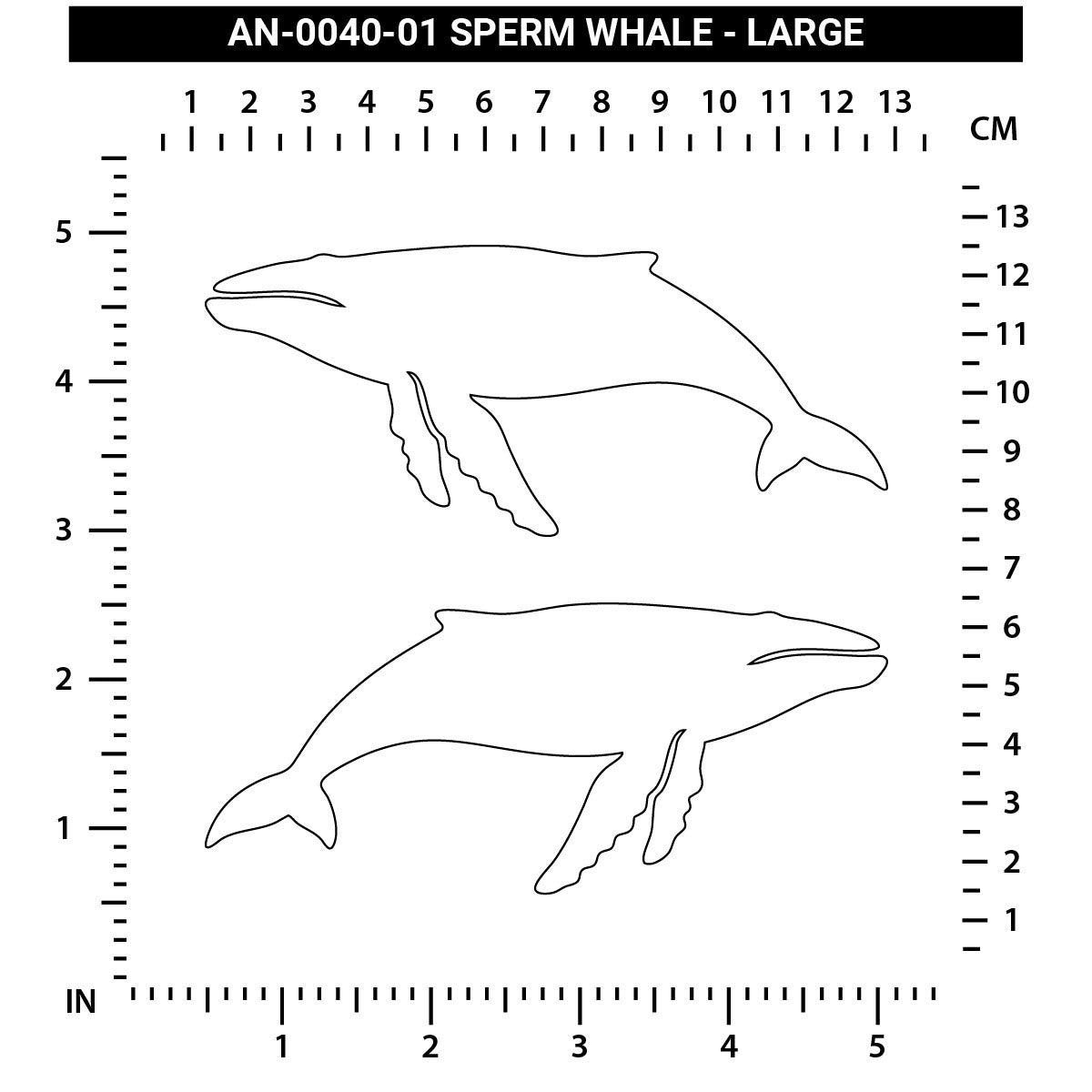 Sperm Whale - Large