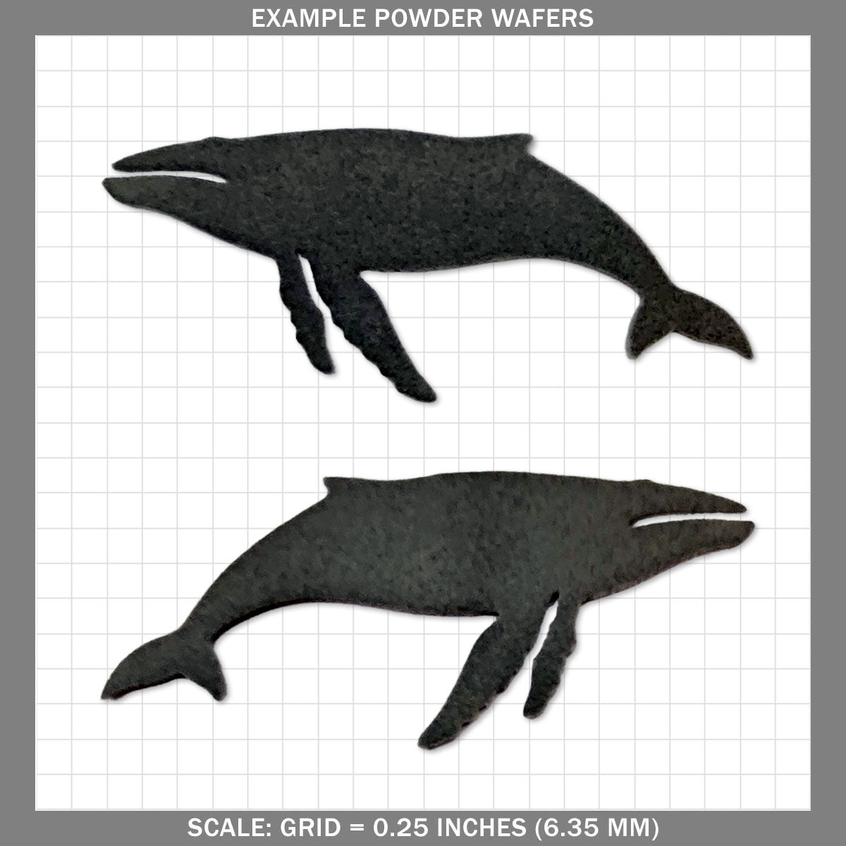 Sperm Whale - Large