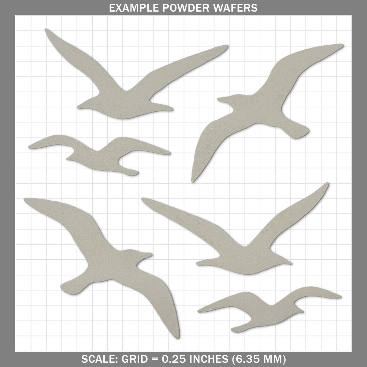 Seagulls - Medium
