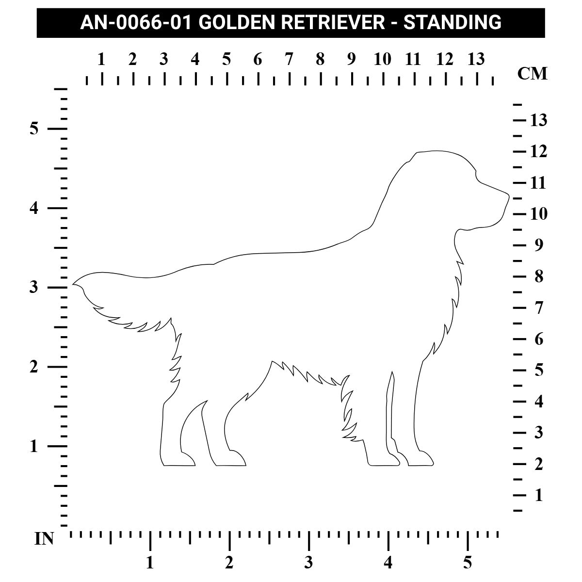 Golden Retriever - Standing