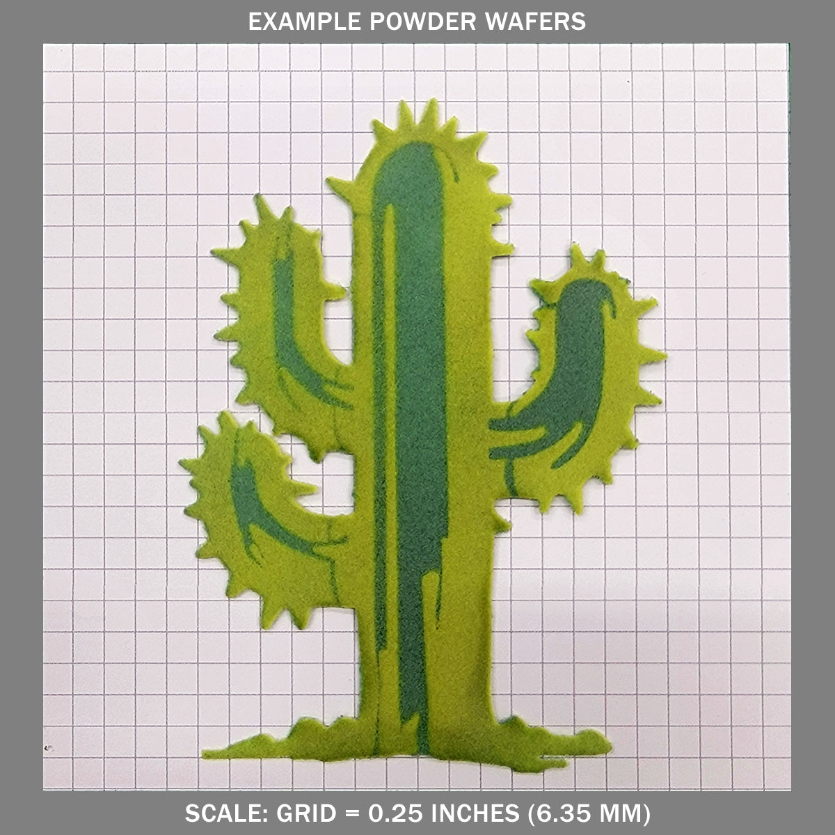 Cactus A