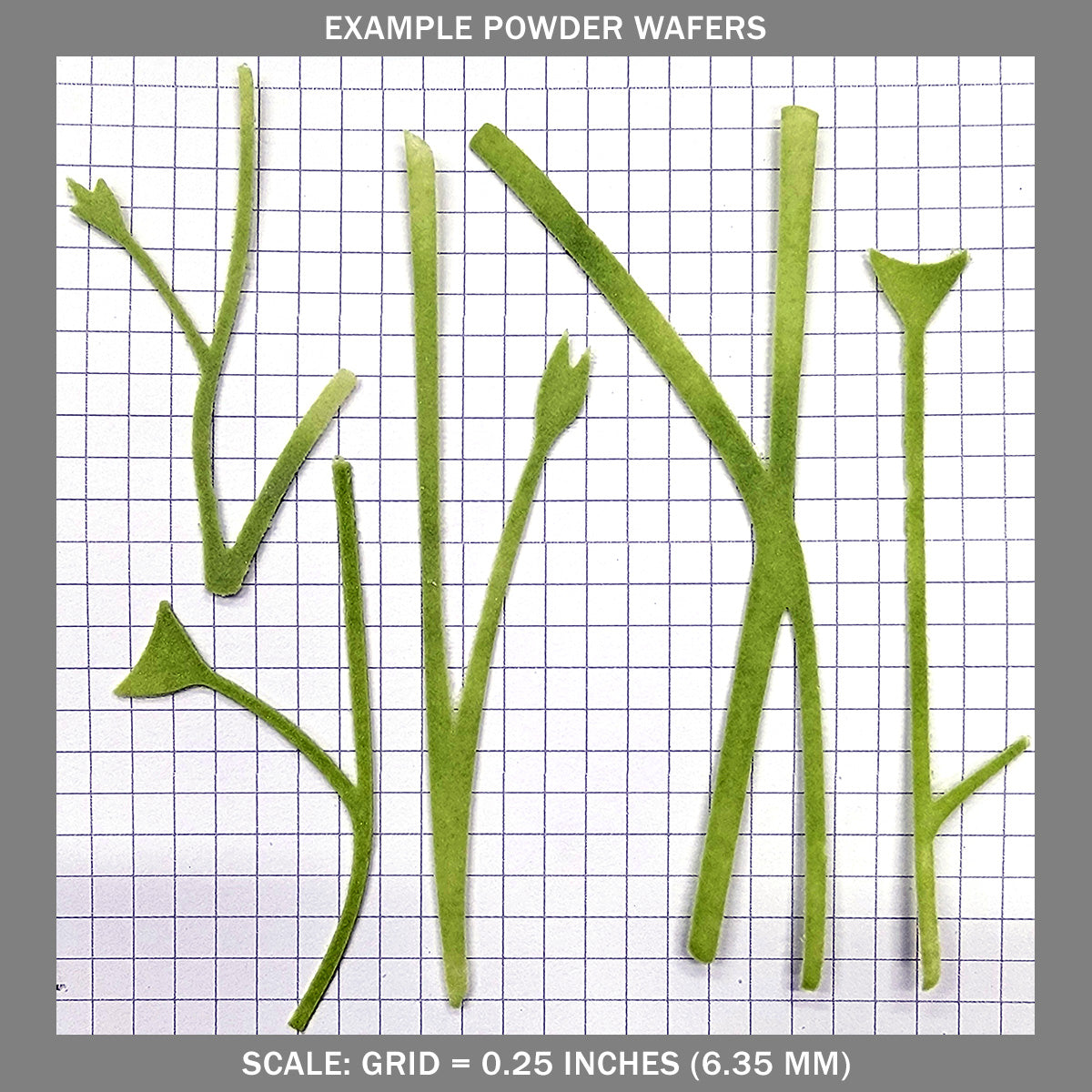 Stems A