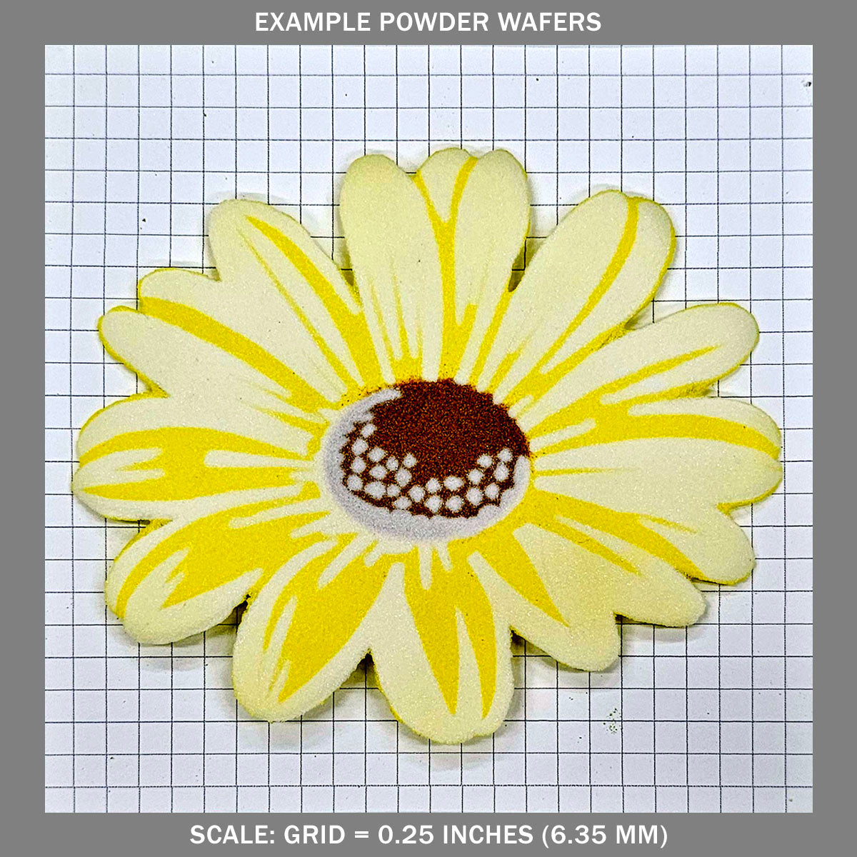 Daisy - Large