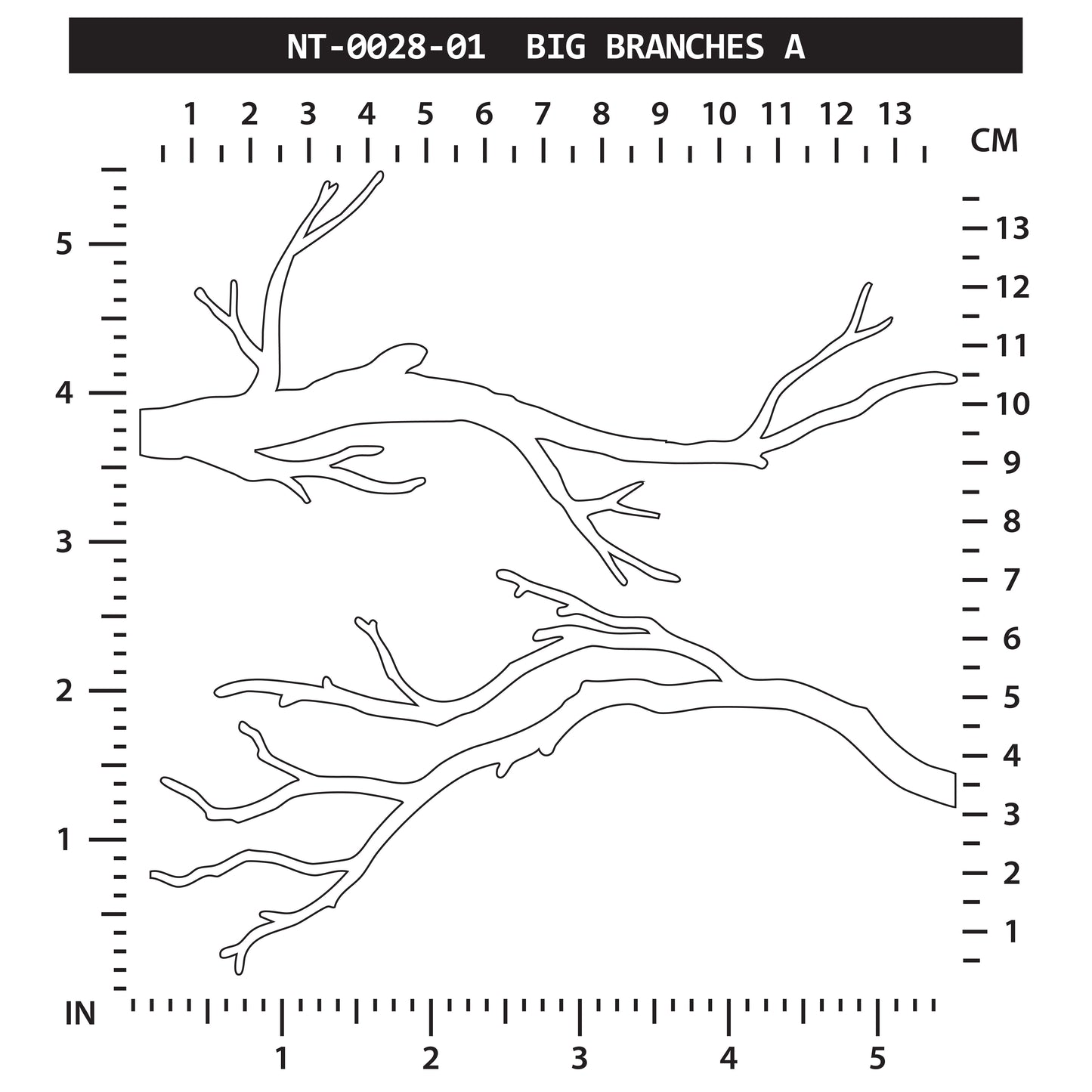 Big Branches A