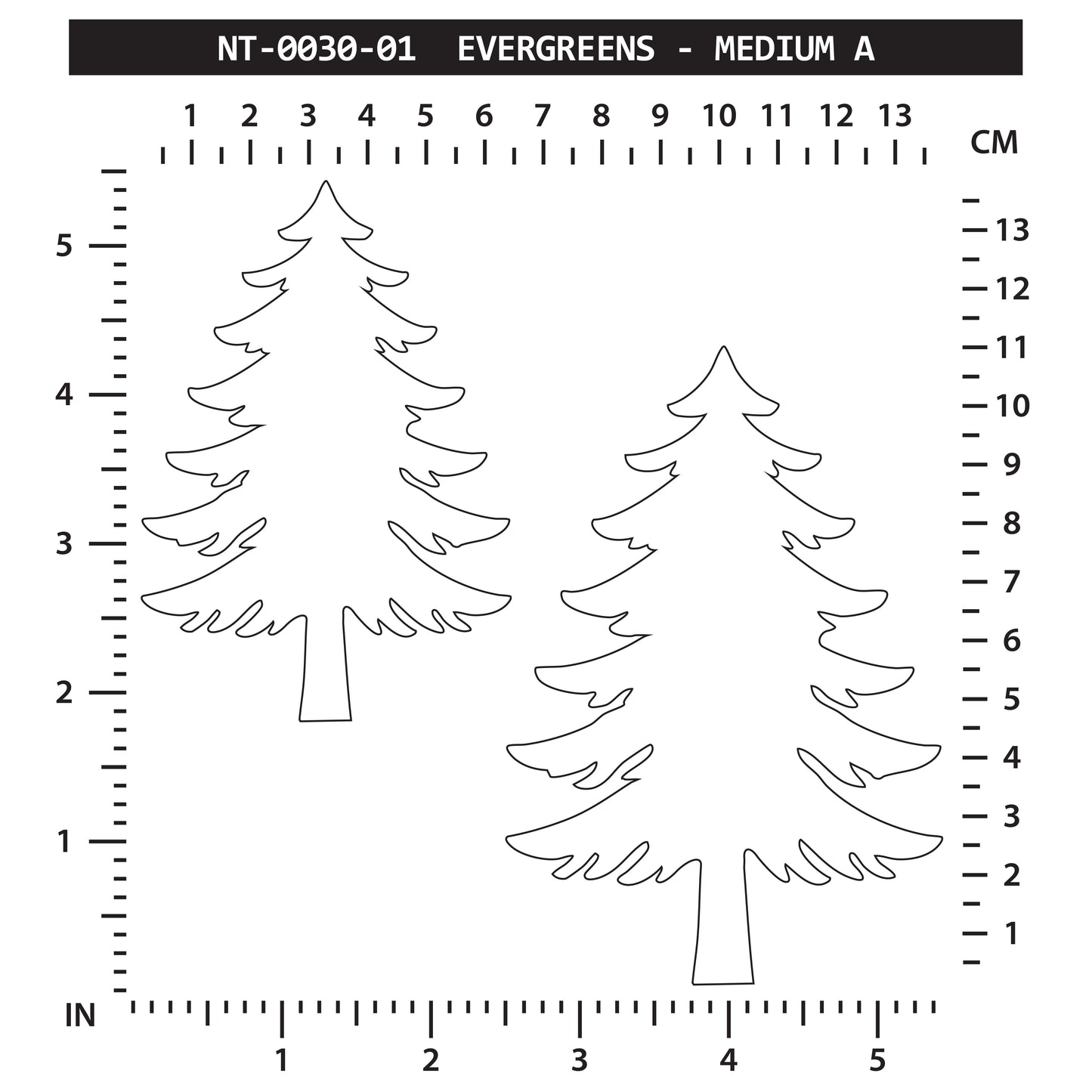 Evergreen - Medium A