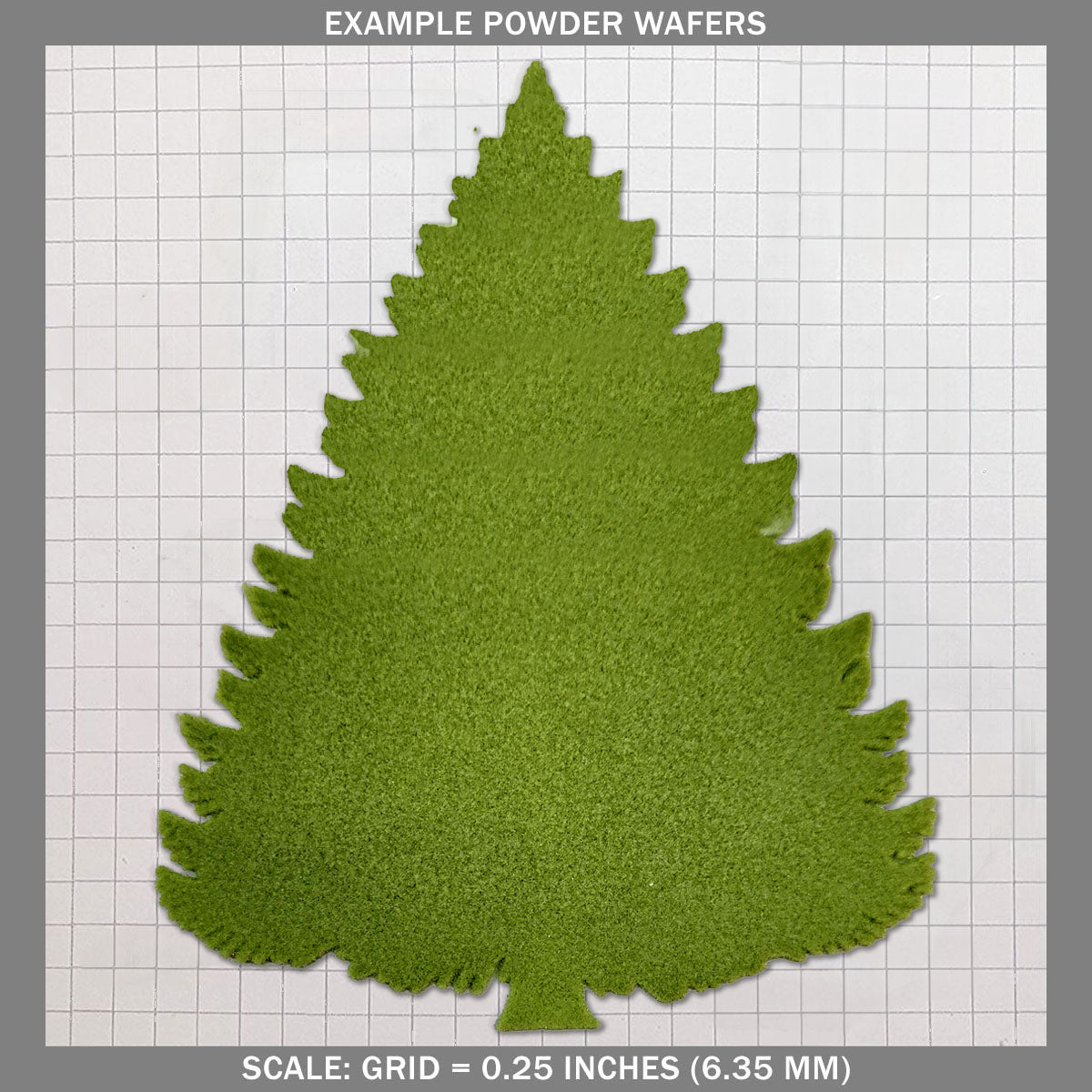 Evergreen - Large B