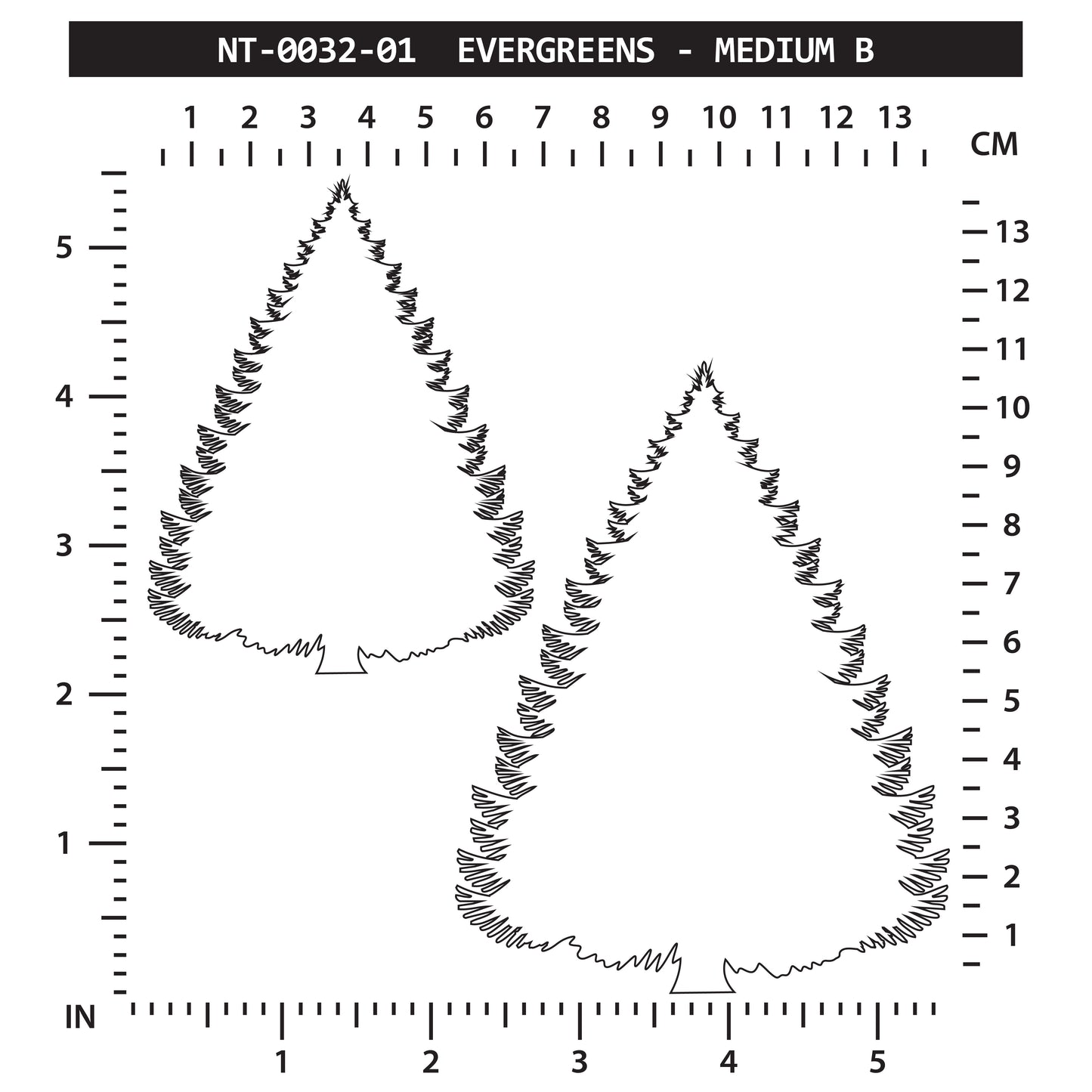 Evergreen - Medium B