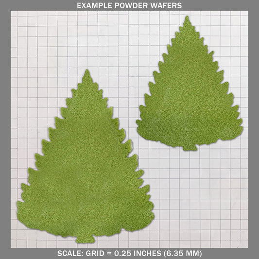 Evergreen - Medium B