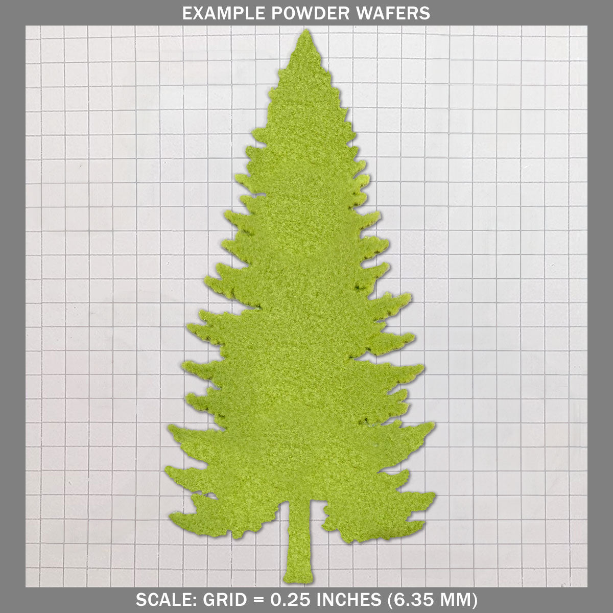 Evergreen - Large C