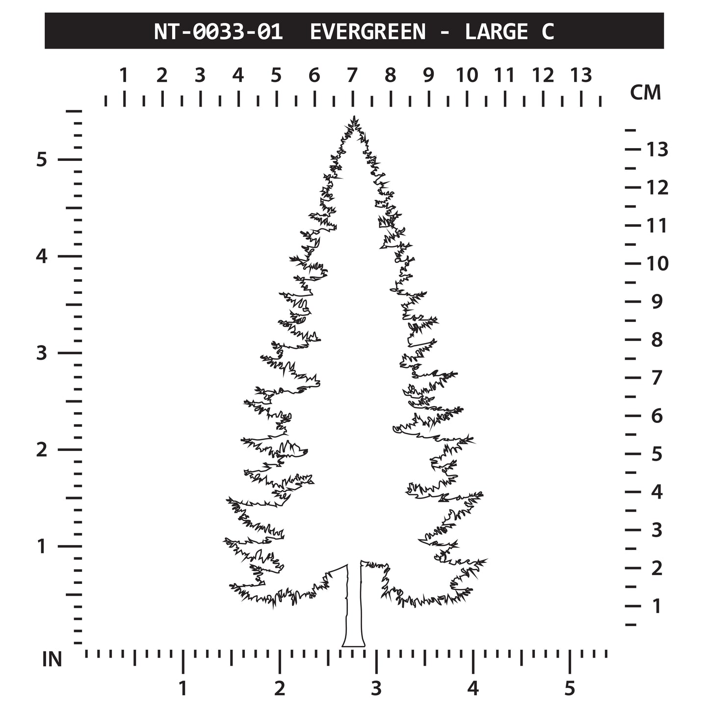 Evergreen - Large C