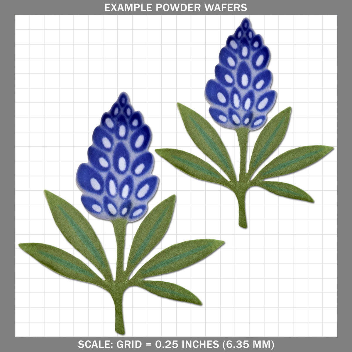 Blue Bonnet - Large