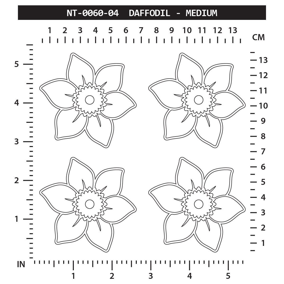 Daffodil - Medium