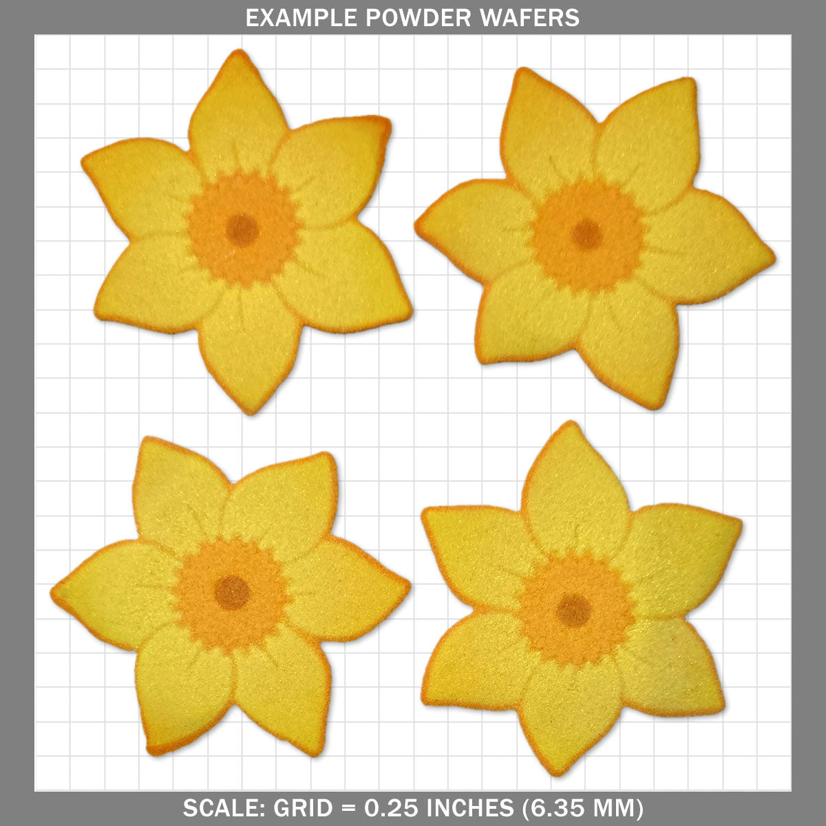 Daffodil - Medium