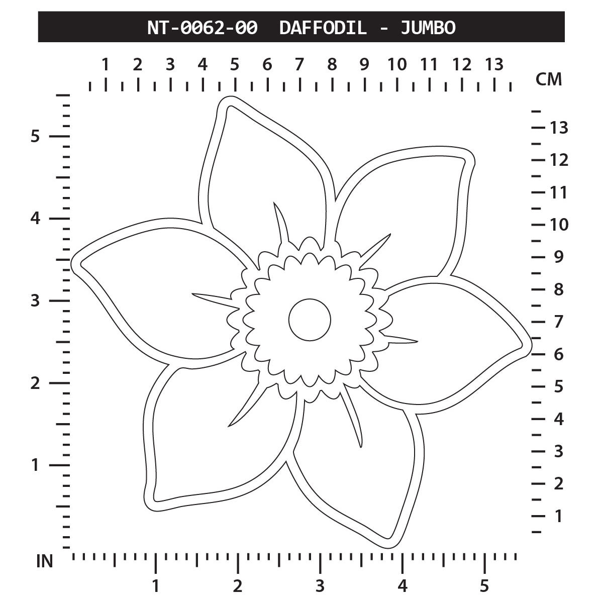 Daffodil - Jumbo