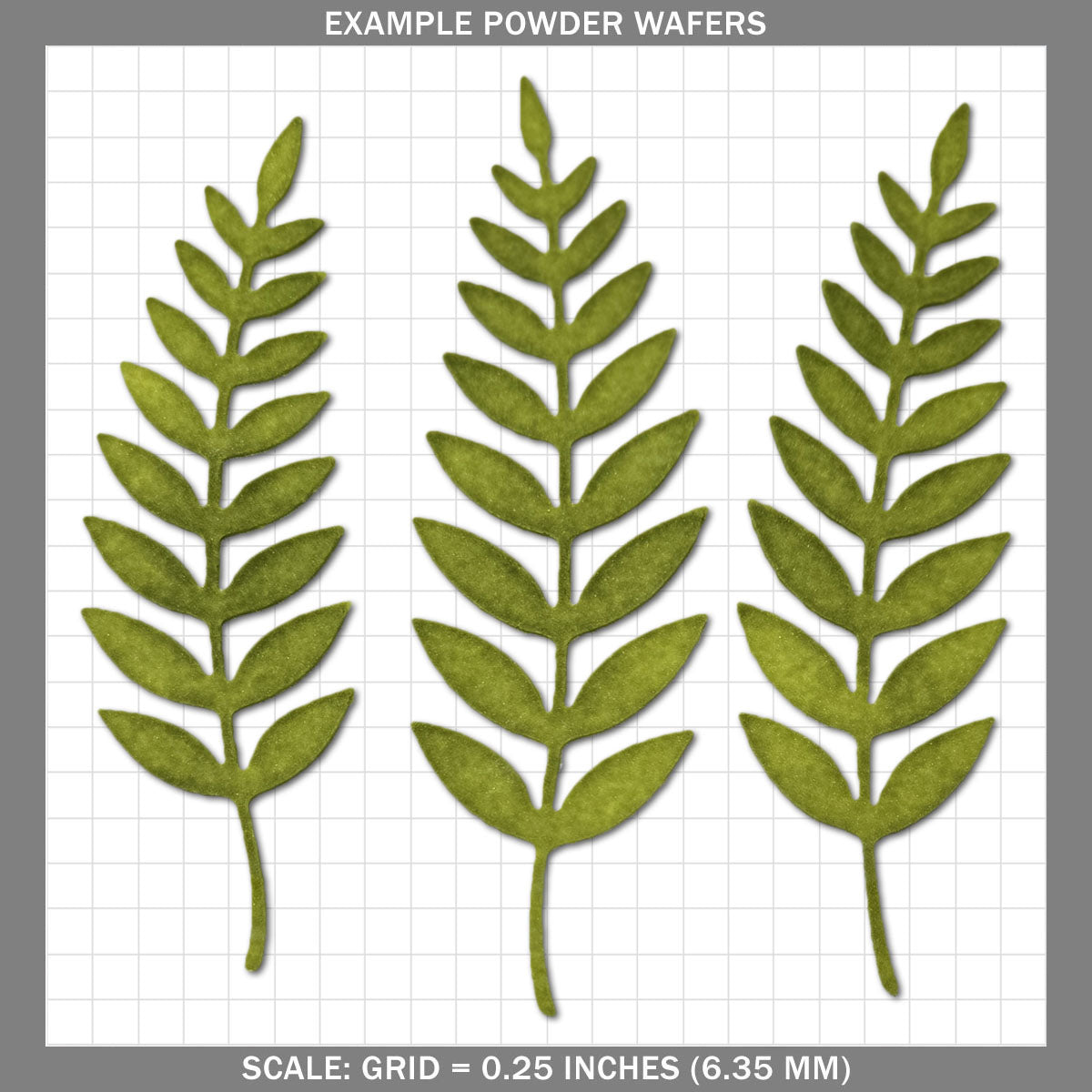 Fern A