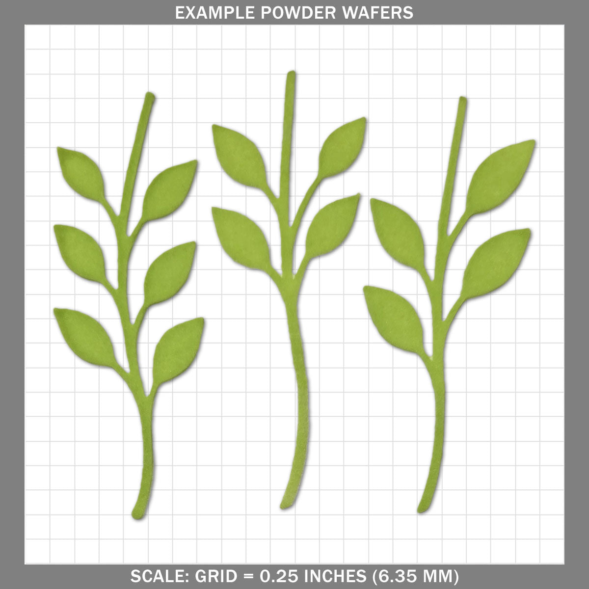 Stems C