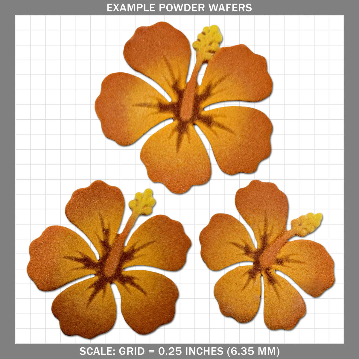 Hibiscus - Large