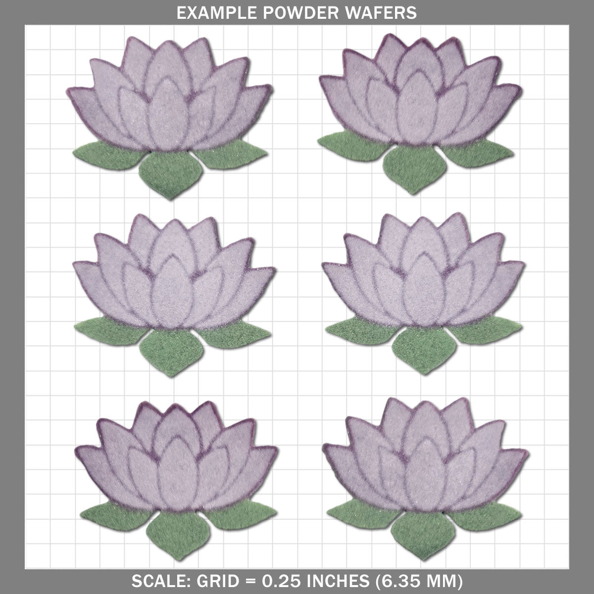 Lotus B - Medium