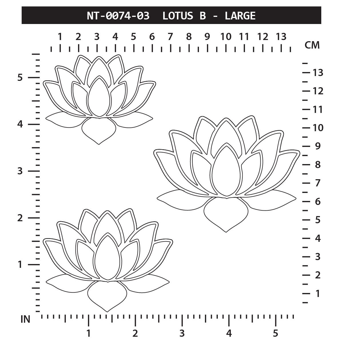 Lotus B - Large