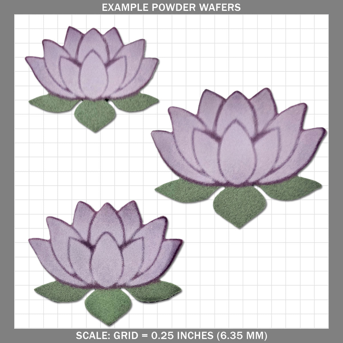 Lotus B - Large