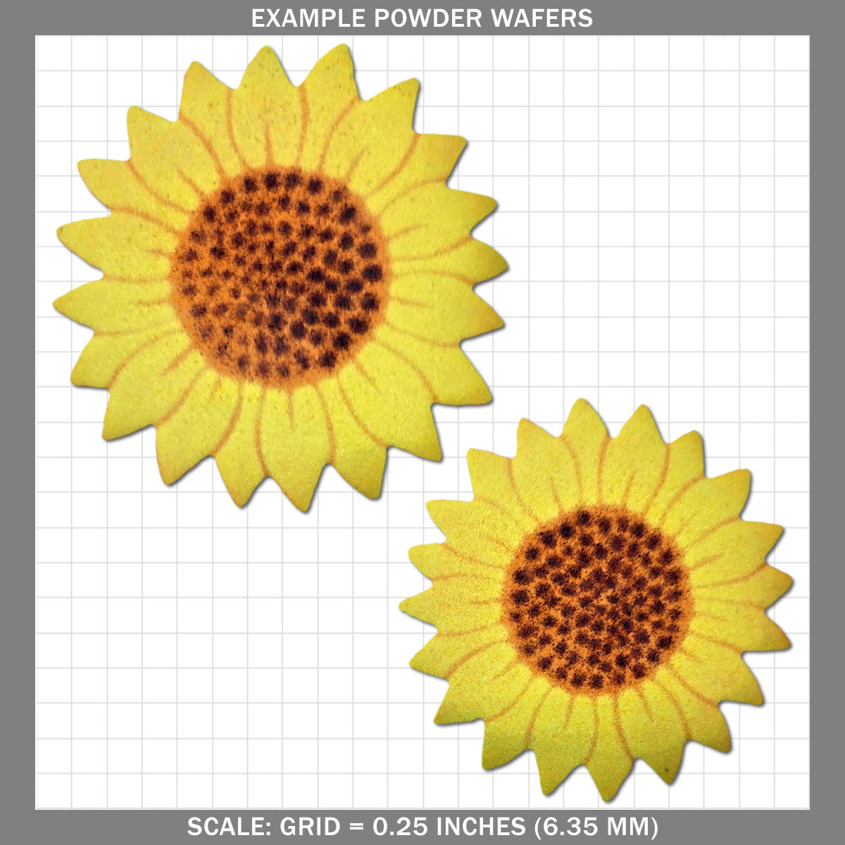 Sunflower - Large