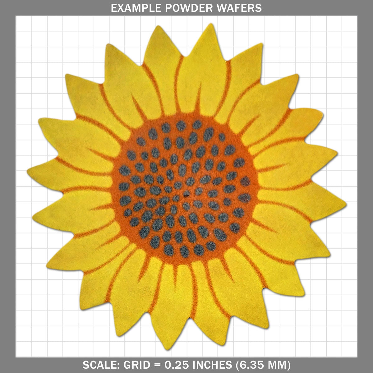 Sunflower - Jumbo