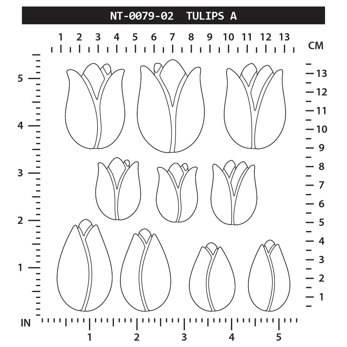 Tulips A