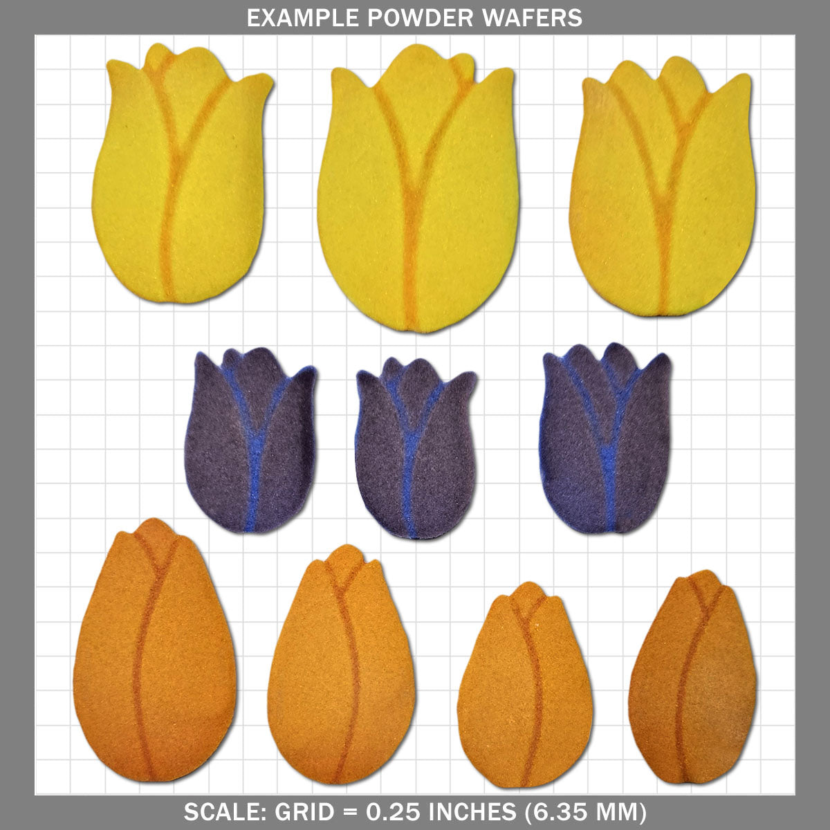 Tulips A
