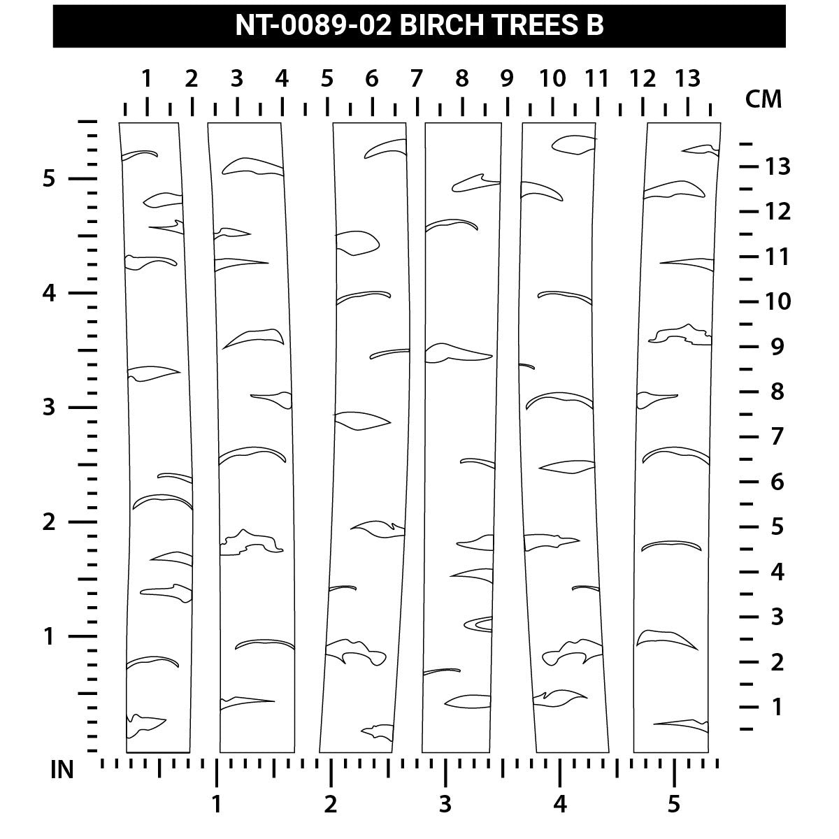 Birch Tree - B