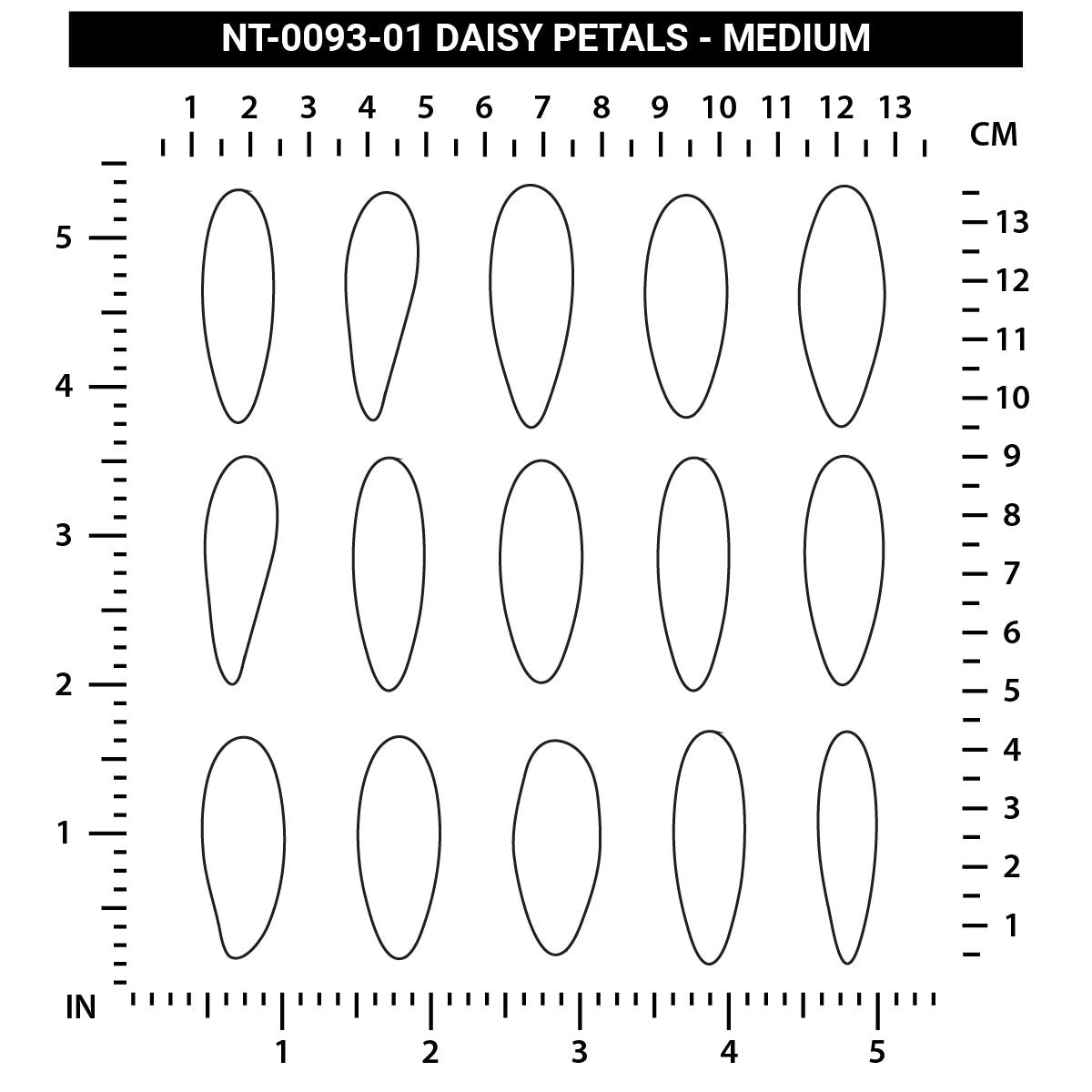 Daisy Petals - Medium