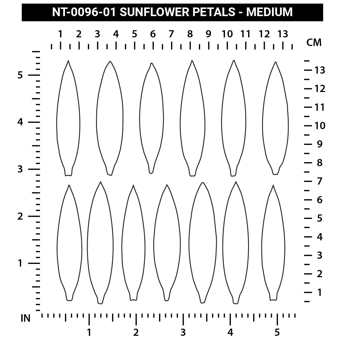 Sunflower Petals - Medium