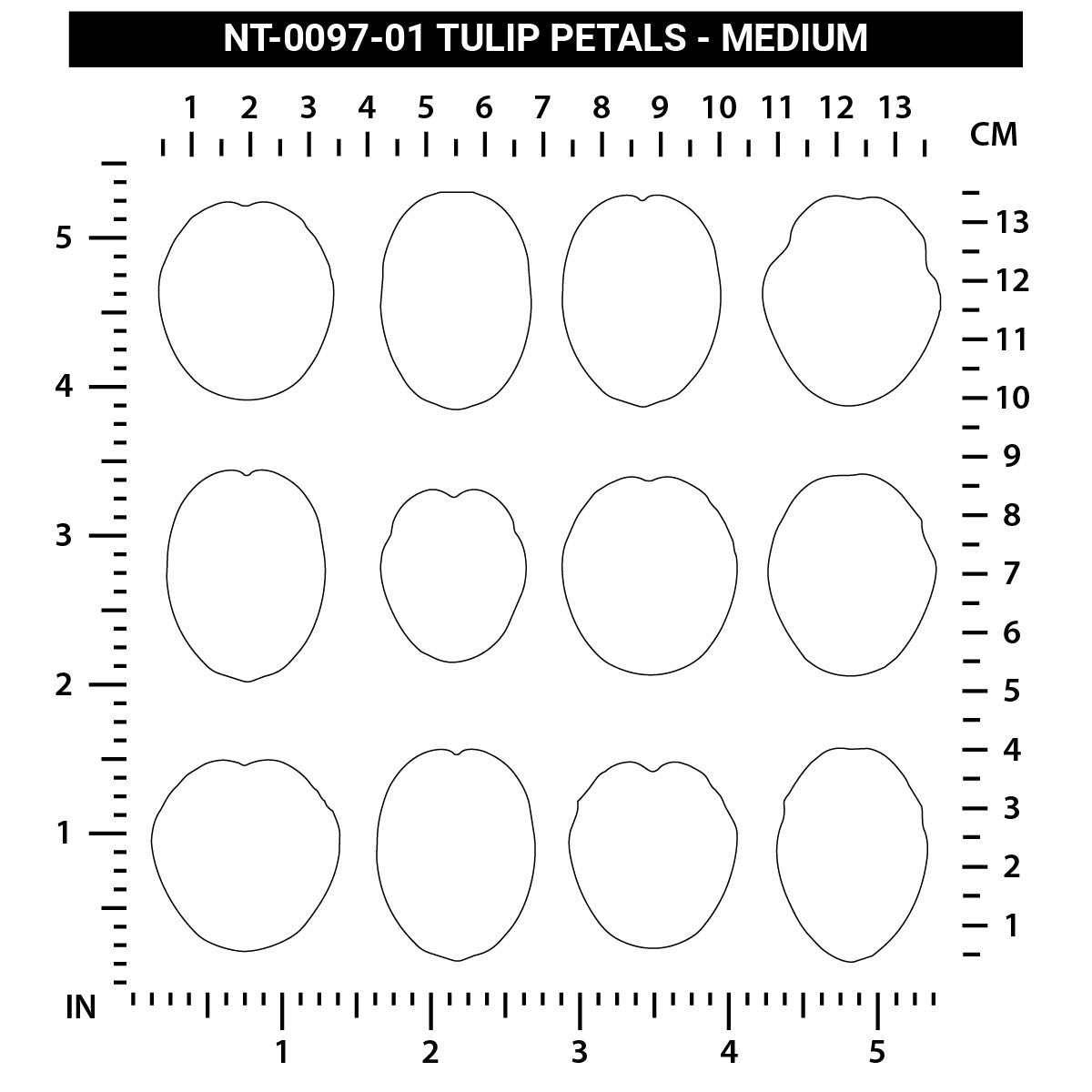 Tulip Petals - Medium