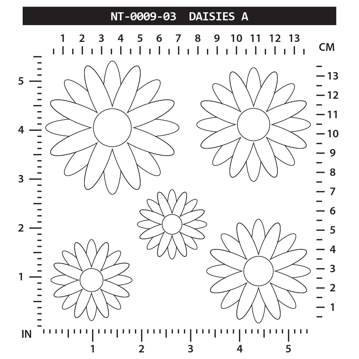 Daisies A