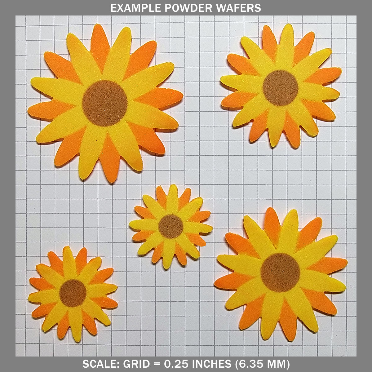 Daisies A