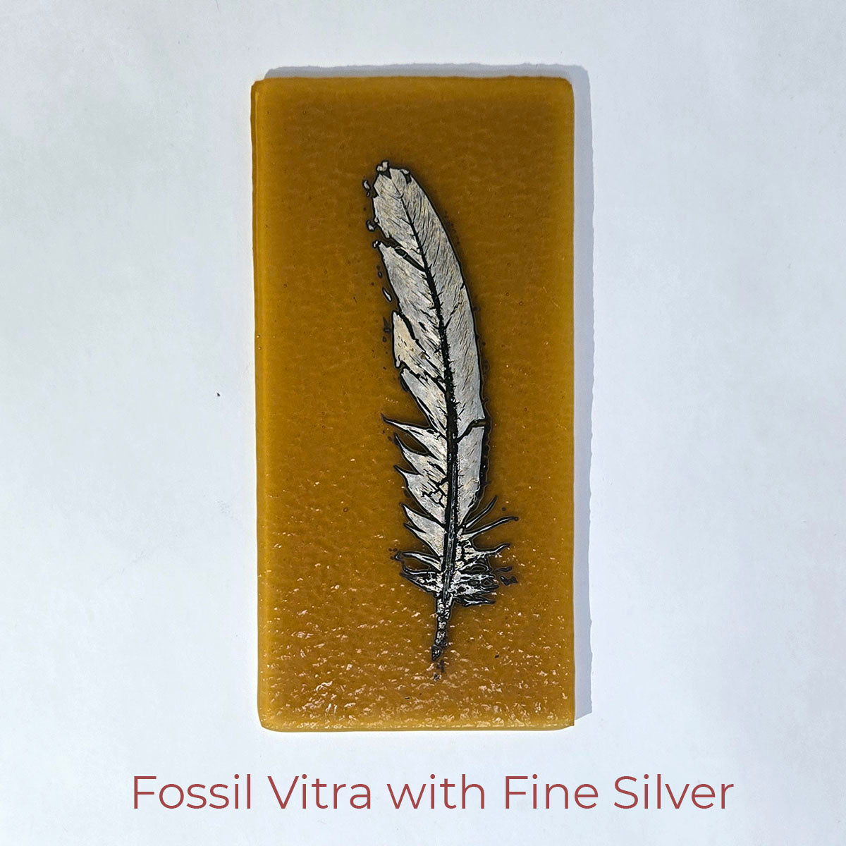 Fossil Vitra Masterclass (Live via Zoom)