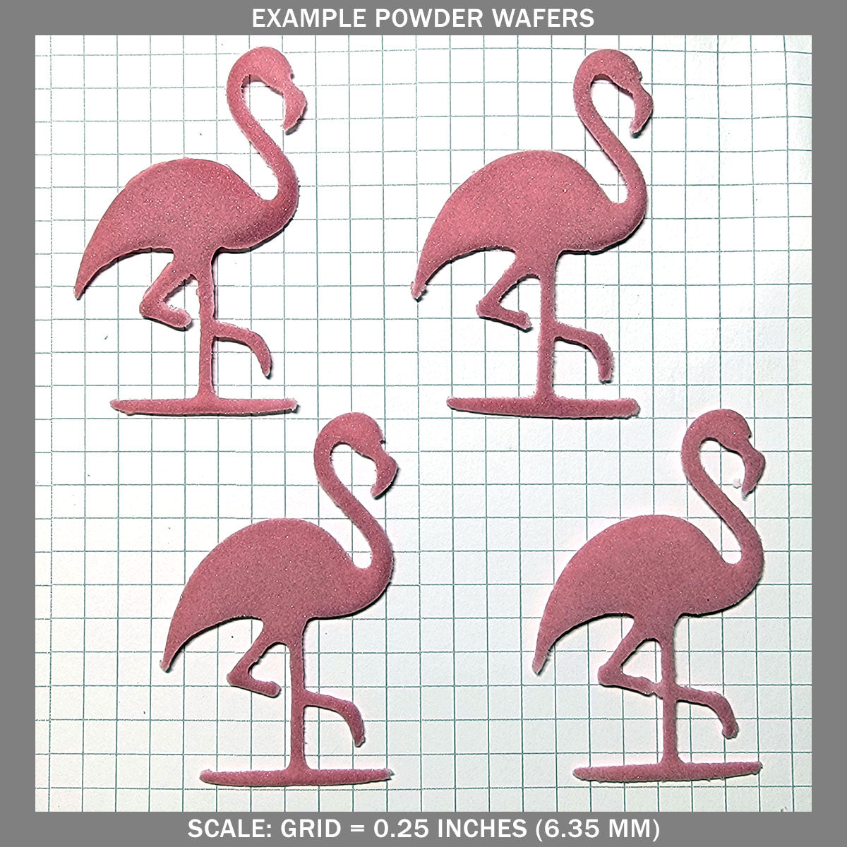 Flamingos - Medium