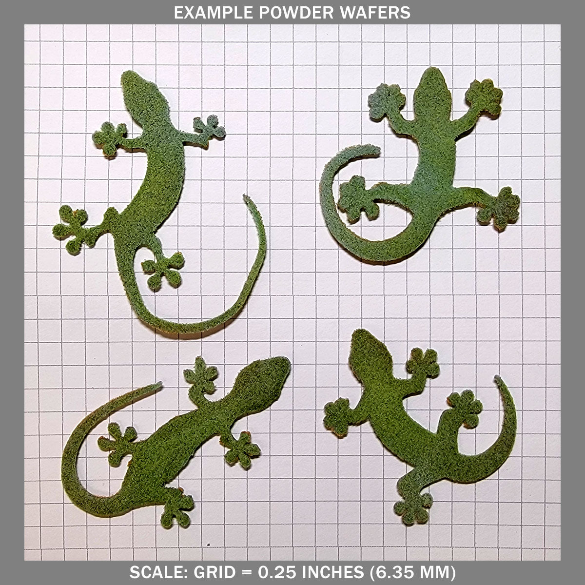 Geckos