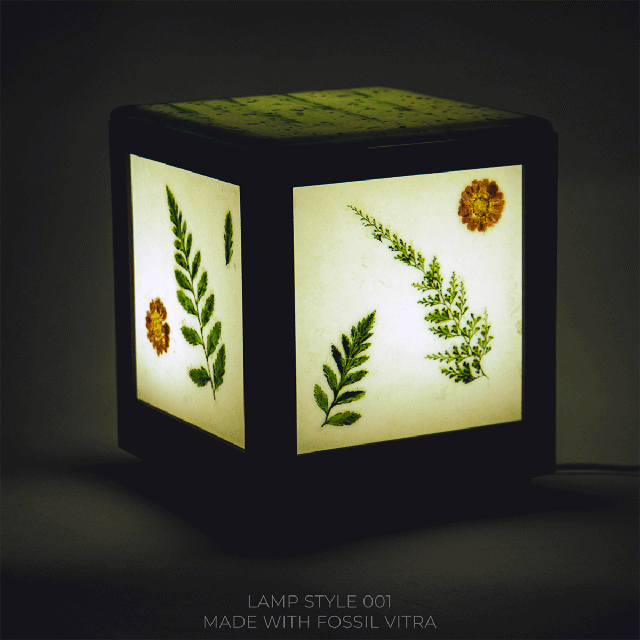 BOXES & LAMPS:   PRE-LAUNCH SPECIAL