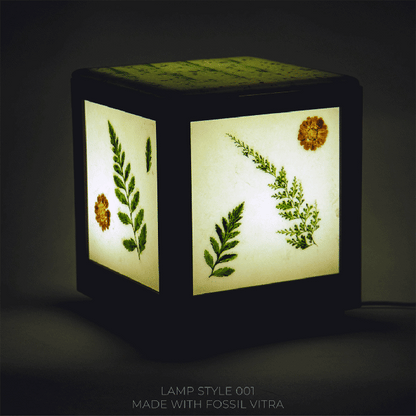 BOXES & LAMPS:   PRE-LAUNCH SPECIAL