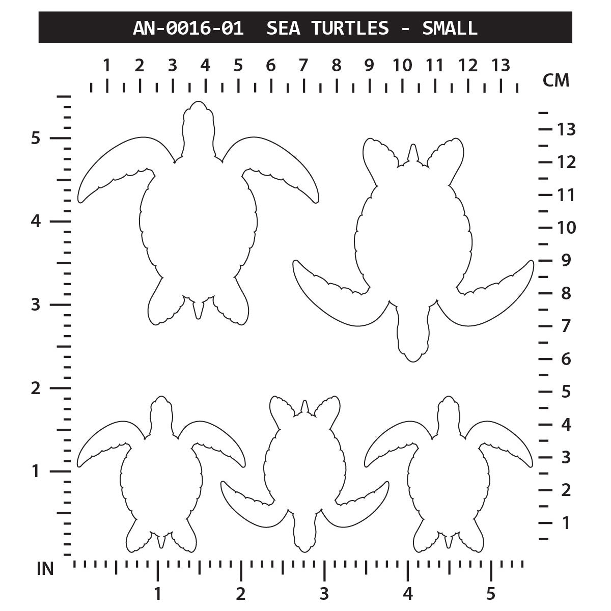 Sea Turtles - Small