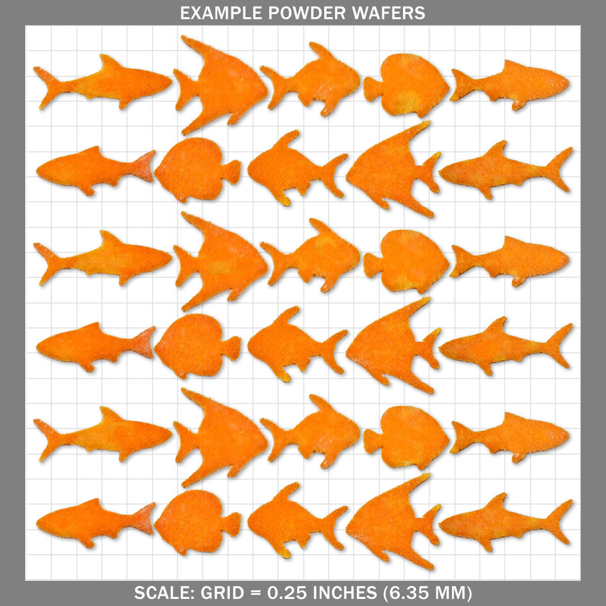 Fish A - Small