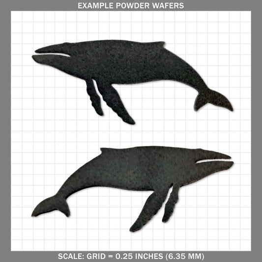 Sperm Whale - Large