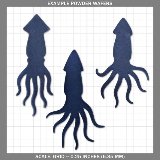 Squid A - Medium
