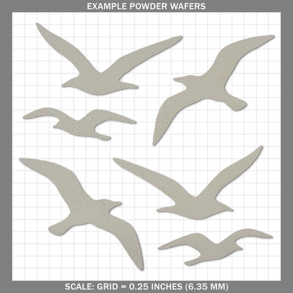 Seagulls - Medium