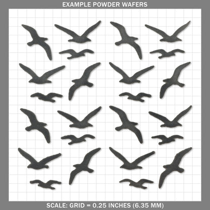Seagulls - Small