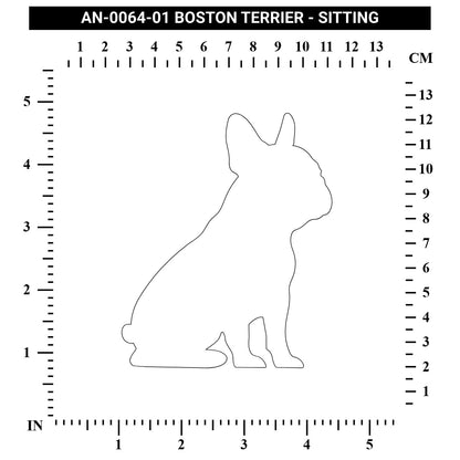 Boston Terrier - Sitting